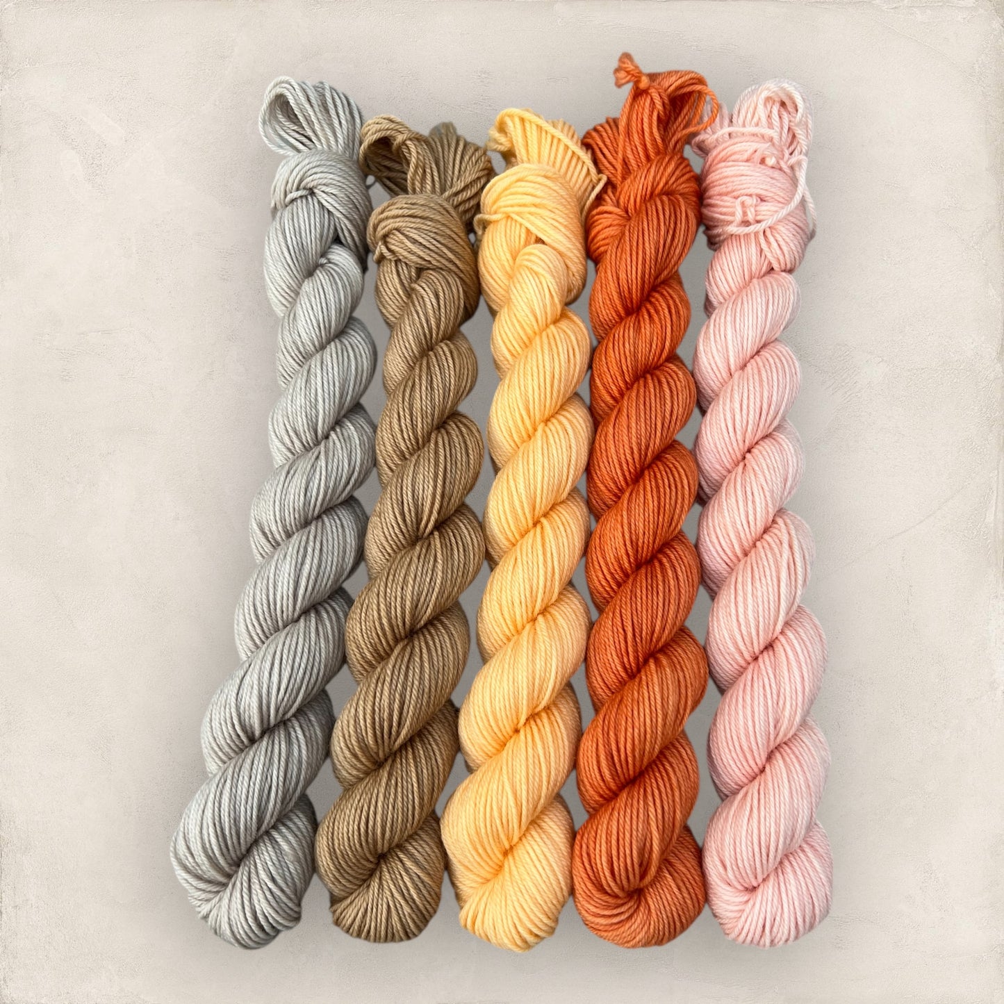 Caramel Pumpkin Mini Skein Set  5 x 20g  4 Ply / Sock image 3