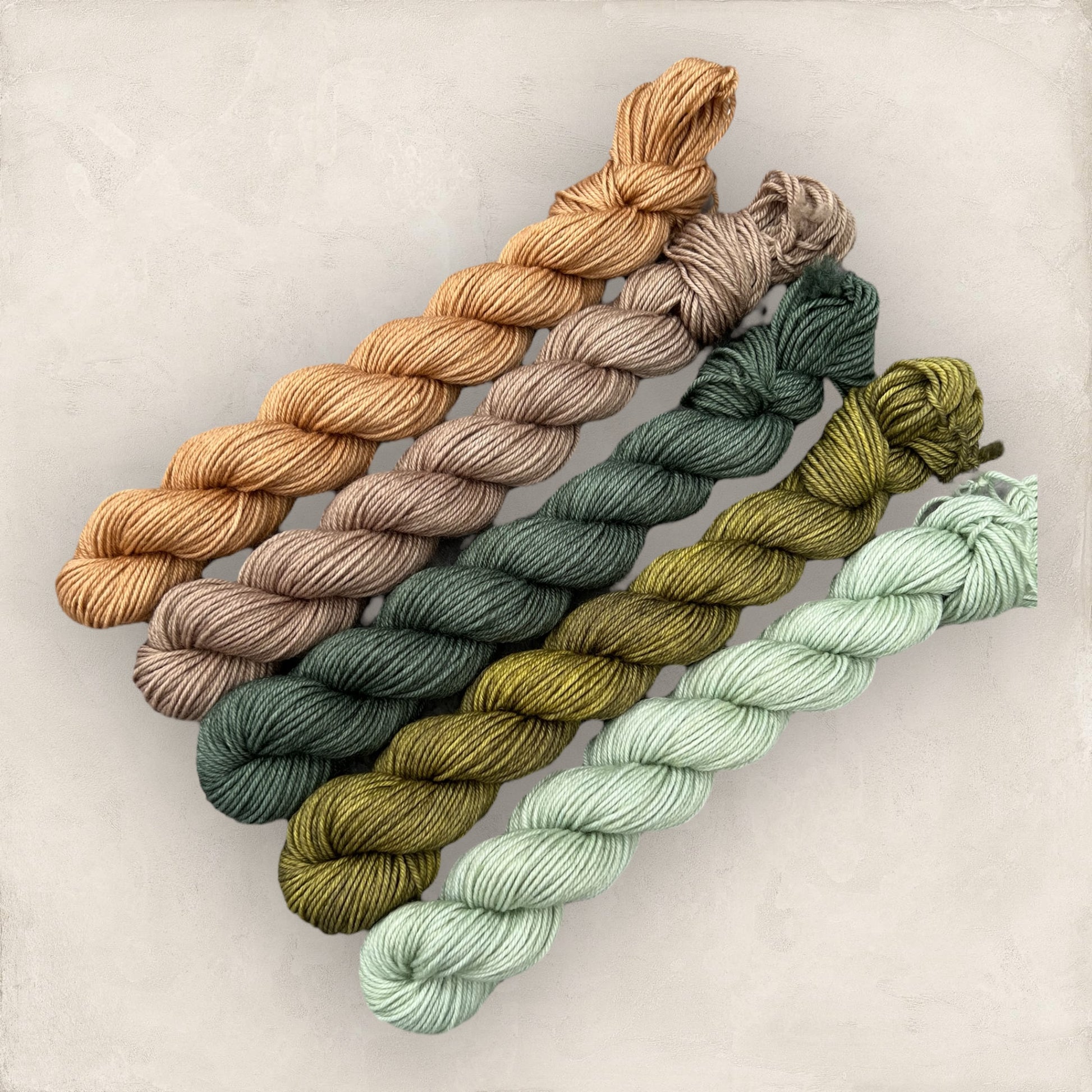 Woodland Retreat Mini Skein Set  5 x 20g  4 Ply / Sock image 1