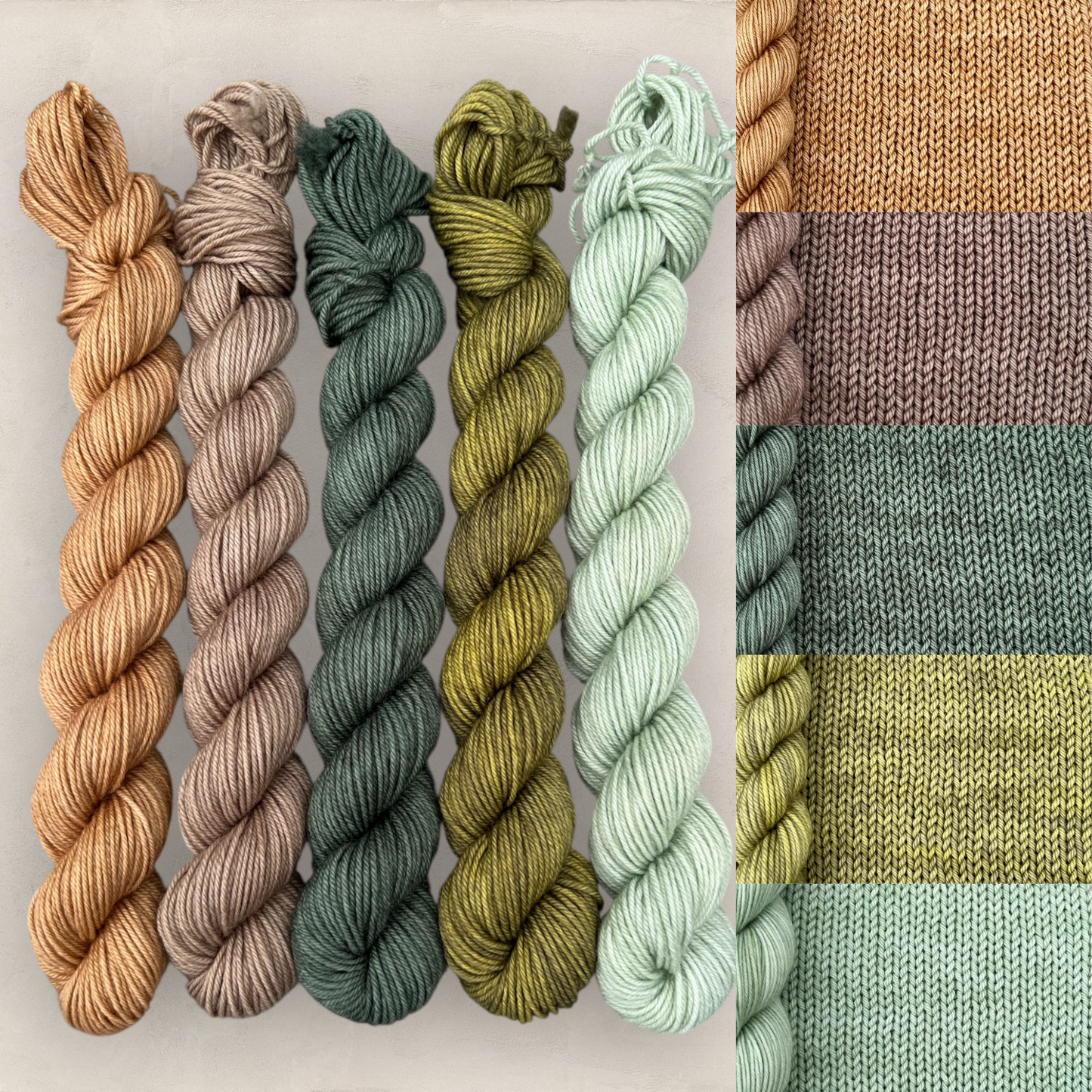 Woodland Retreat Mini Skein Set  5 x 20g  4 Ply / Sock image 0