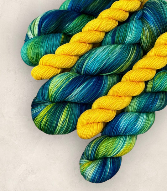 Sea Fern Hand Dyed Yarn Sock Set 4Ply