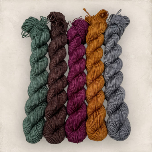 Mini Skeins  5 x 20g  Winter Solstice DK - Double Knitting image 0