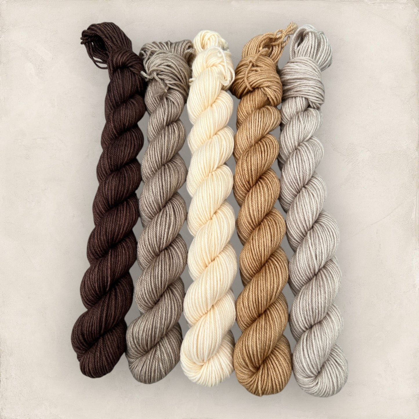 Rustic Charm Mini Skein Set  5 x 20g  4 Ply / Sock image 3