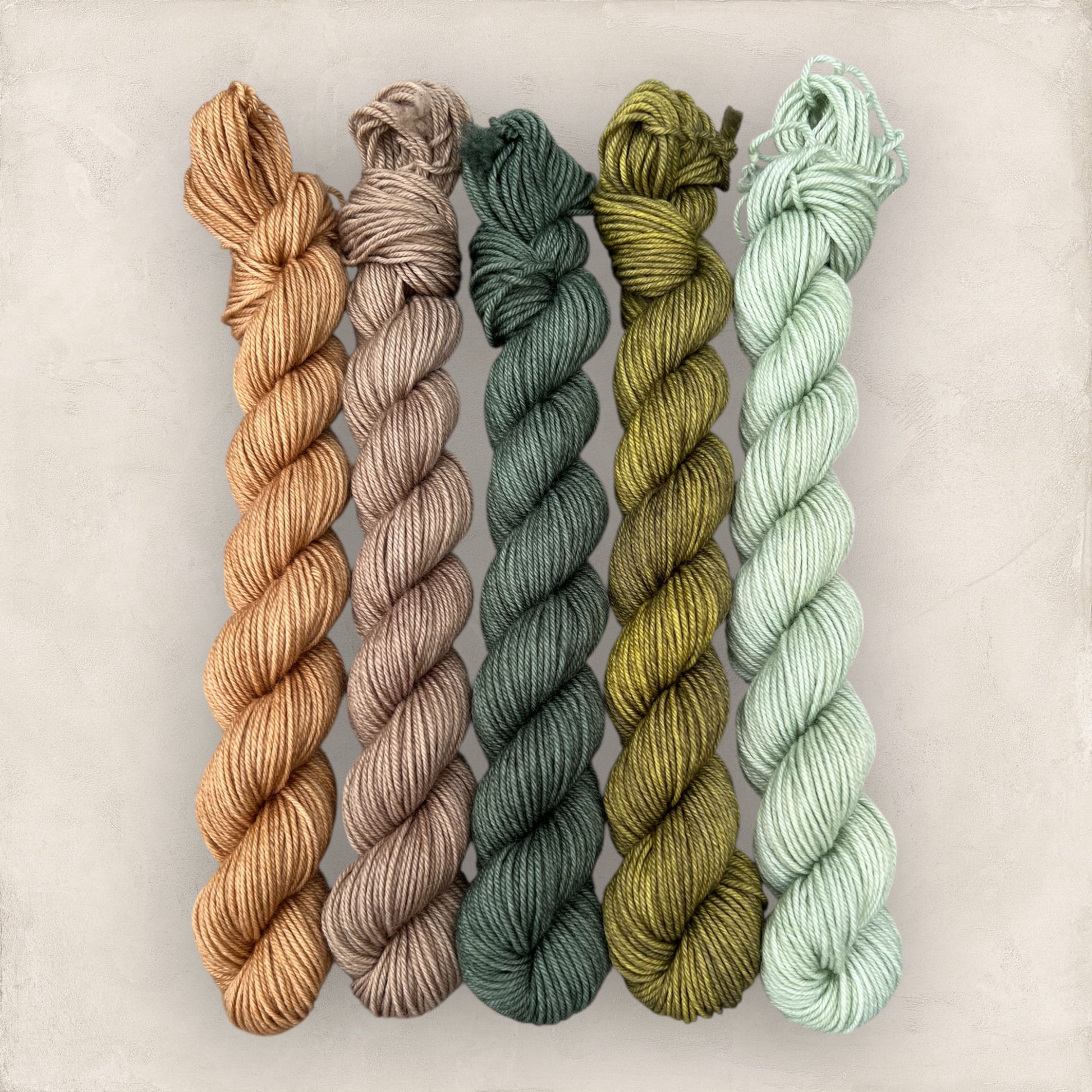 Woodland Retreat Mini Skein Set  5 x 20g  4 Ply / Sock image 3